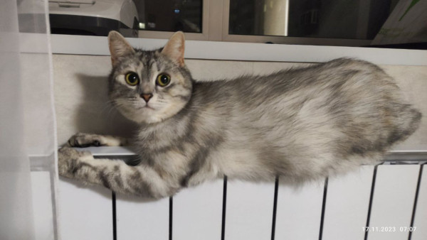 В центре Самары из-за аварии могут кратковременно остыть батареи