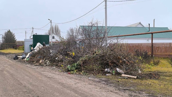 Прокуратура заставила убрать несанкционированную свалку в Самарской области