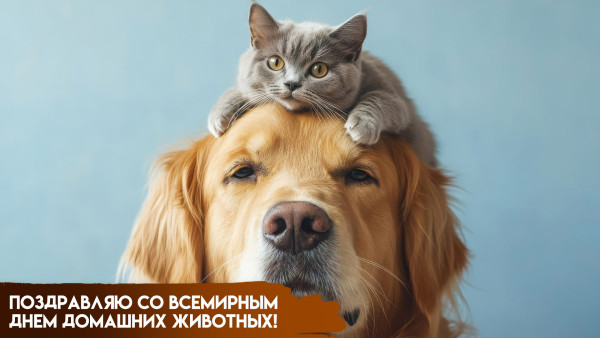 30 ноября - Всемирный день домашних животных: история, традиции и значение 