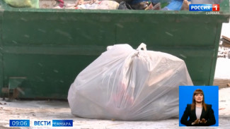 В Самарской Губернской Думе предложили рассмотреть итоги пяти  лет мусорной реформы