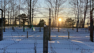 43-летний мужчина убил женщину выстрелом сквозь стену в Самарской области