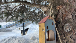 Прощённое воскресенье 17 марта. Почему лучше не выходить из дома в день Герасима Грачевника