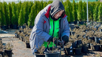 Самарским дачникам рассказали об опасности апрельских заморозков