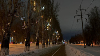 В Самаре закупят почти 15 тонн противогололедного реагента для парка Гагарина за 612 тыс руб