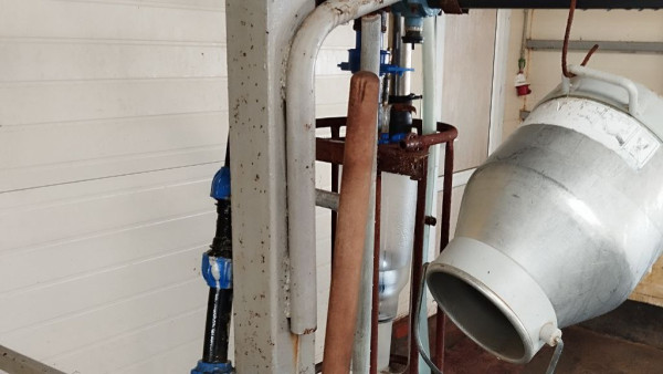 В молочной продукции из соцучреждений Самарской области нашли кишечную палочку и плесень