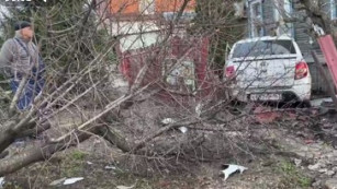 “Один в дерево, другой в забор”: в Тольятти произошло жестокое ДТП