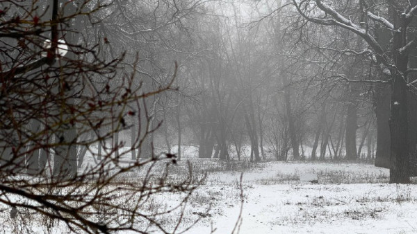 В Самарской области дорожные службы переведены в режим повышенной готовности