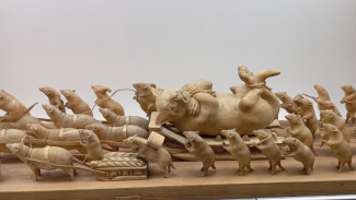 Самарцы пожаловались на массовый набег мышей и тараканов в поликлинике №8