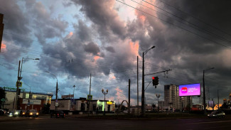 Режим чëрного неба введен в Самарской области до вечера 29 июля