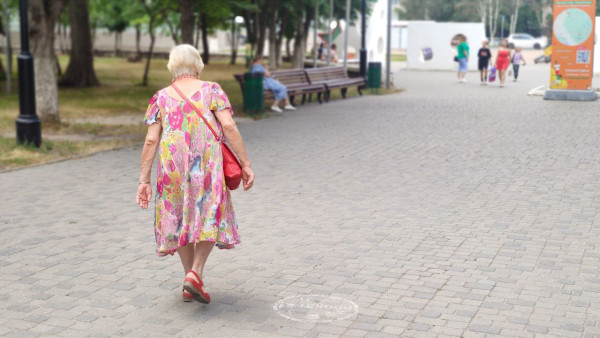 В Самаре пенсионеров хотят обучить интернет-безопасности 