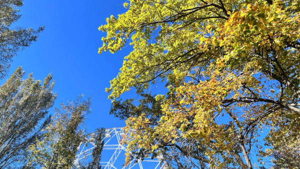 В Самаре может появиться сквер имени Николая Кириленко
