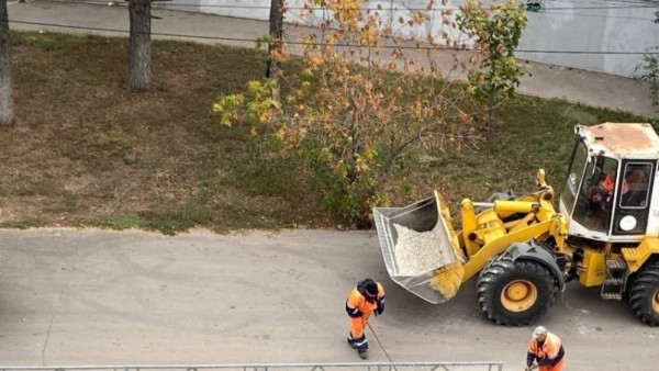 В Самаре выкорчевали деревья и заасфальтировали место их посадки на Самарской