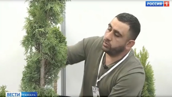 Самарцам рассказали, как превратить хвойные деревья в скульптуры 