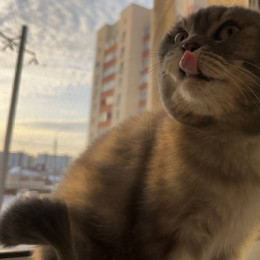 Эксперты прогнозируют резкий рост цен на новостройки в Самаре 