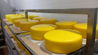 Молочка-призрак: опасный продукт мог попасть на прилавки Самары