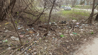 Самарцы пожаловались на мусорную тропу на ул. Карла Маркса