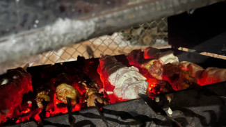 Самарцам рассказали, как летом и шашлык поесть, и штраф за это не схлопотать 