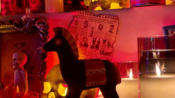 Гороскоп на 15 марта: этим 5 знакам предстоят судьбоносные встречи 