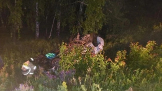 Два человека погибли в ДТП с косулей под Самарой 