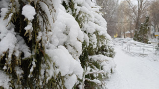 Гороскоп на 29 марта: астрологи назвали 5 знаков зодиака, которых ждет финансовый успех