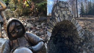 В Самаре хотят оставить "Шишиг-летунов"