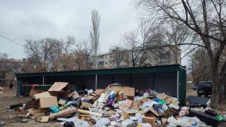 Тольятти потратит более 22 млн на новые мусорные контейнеры
