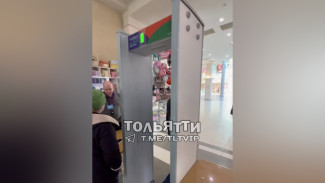 ТЦ в Самарской области вводит режим досмотра покупателей