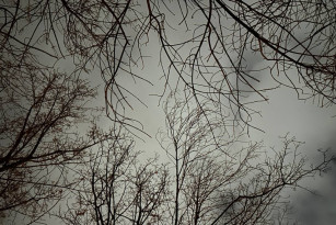 Хроника массовой атаки БПЛА на Самарскую область 28 декабря