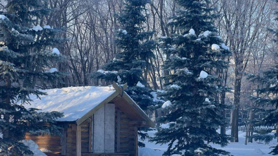 До -32°C: в Самарскую область в эти выходные пришли аномальные морозы