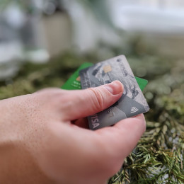 Самарцам назвали банковские карты, от которых нужно немедленно избавляться