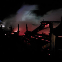 В Самарской области в ночь на 12 декабря в крупном пожаре погибли животные 