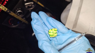 В Самарской области полицейские нашли у 42-летней женщины подозрительный сверток