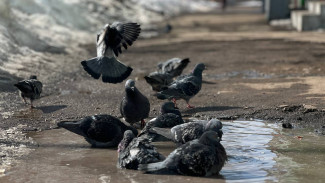 Синоптики назвали точную дату, когда в Самару придёт резкое похолодание до -17°C 