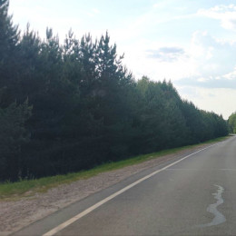 Полиция рассказала, кто сгорел в LADA Granta в лобовом ДТП с грузовым ГАЗом под Самарой