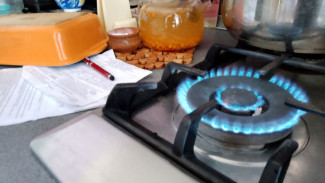 Средневолжская газовая компания получила штраф на 600 тысяч рублей от ФАС