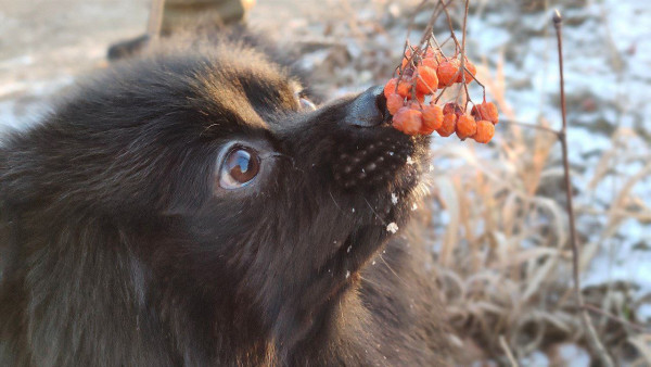 Лор-врач Лебедева рассказала как запахи влияют на память, эмоции и развитие заболеваний