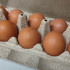Самарцев предупредили о росте цен на яйца из-за птичьего гриппа на крупнейшей птицефабрике Центральной России