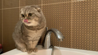 Самарцам рассказали, где отключат воду 16 мая