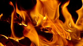 Под Самарой 17 ноября в надворных постройках частного дома сгорел человек