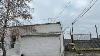 В Самаре художницу за госизмену приговорили к 20 годам колонии