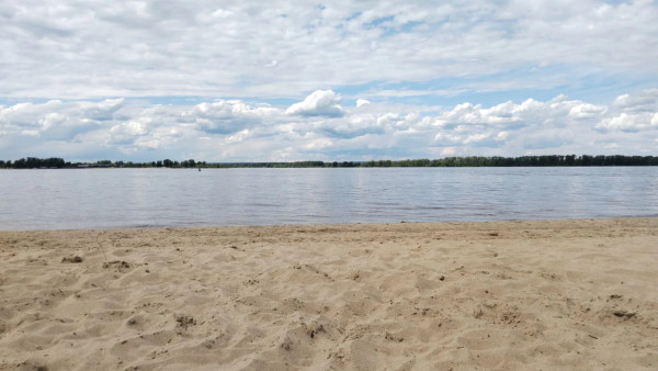 Под Самарой СК проверяет предпринимателей за установку шлагбаума на пляже и требование платить