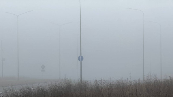 Жёлтый уровень опасности: Самарскую область 25 ноября накроет туман