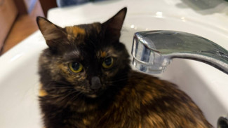 В Самаре десятки домов останутся без холодной воды 21 апреля