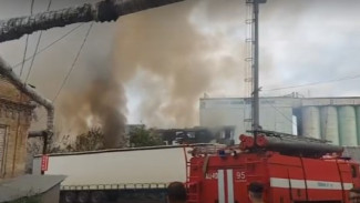 В Сызрани разгорается крупный пожар в районе центрального пляжа 