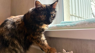 На десяти улицах Самары отключат холодную воду 10 декабря