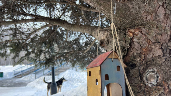 Народные приметы: 28 марта. Не делайте этого на Лесное ухоженье, если не хотите тяжело заболеть