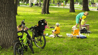 Самарская область раскалится до +31°С 