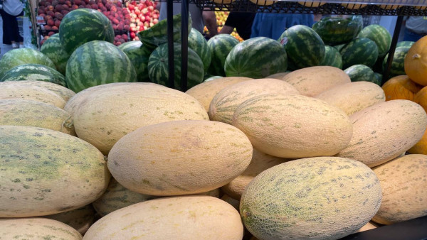 Самарцам рассказали, где приобрести безопасные дыни