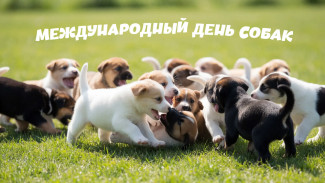 2 июля — Международный день собак: история, традиции и праздничные открытки
