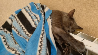 Самара и Тольятти не успевают подготовиться к отопительному сезону